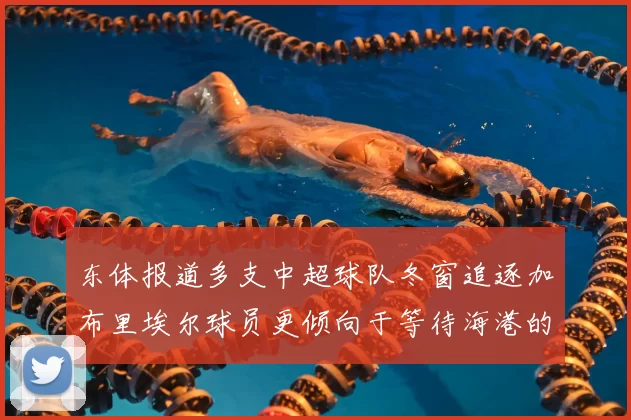 东体报道多支中超球队冬窗追逐加布里埃尔球员更倾向于等待海港的机会