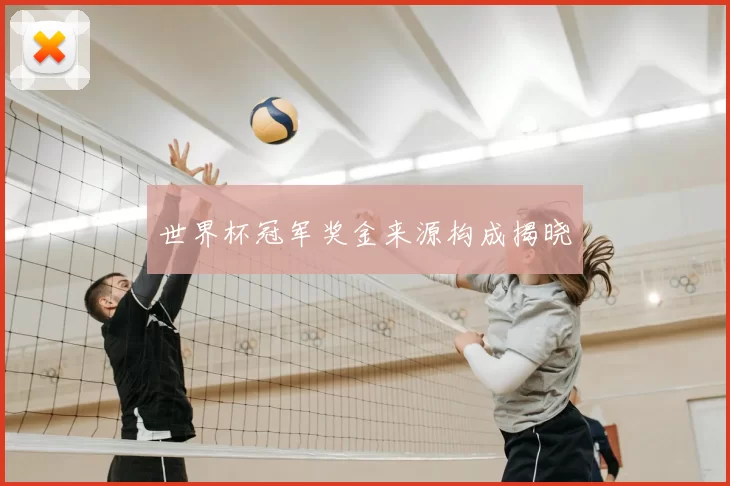 世界杯冠军奖金来源构成揭晓