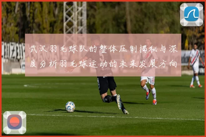武汉羽毛球队的整体压制揭秘与深度分析羽毛球运动的未来发展方向