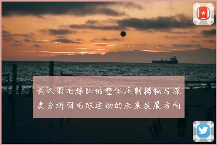 武汉羽毛球队的整体压制揭秘与深度分析羽毛球运动的未来发展方向