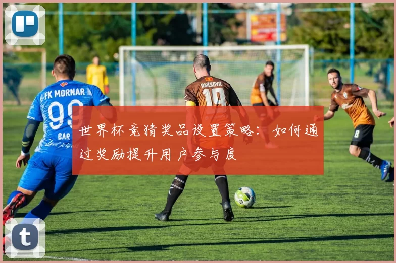 世界杯竞猜奖品设置策略：如何通过奖励提升用户参与度