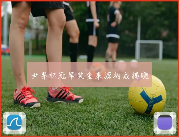 世界杯冠军奖金来源构成揭晓