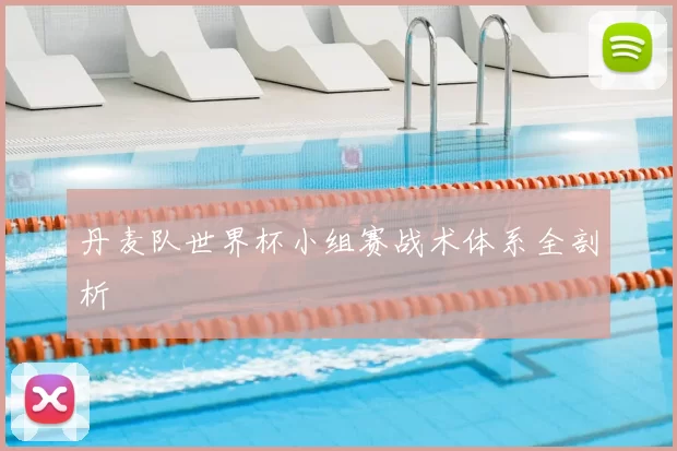 丹麦队世界杯小组赛战术体系全剖析