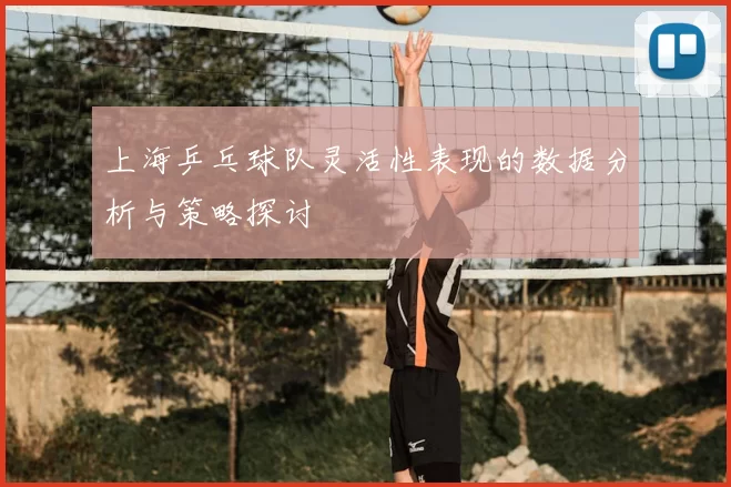 上海乒乓球队灵活性表现的数据分析与策略探讨
