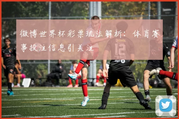 微博世界杯彩票玩法解析：体育赛事投注信息引关注