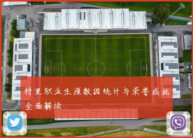 特里职业生涯数据统计与荣誉成就全面解读