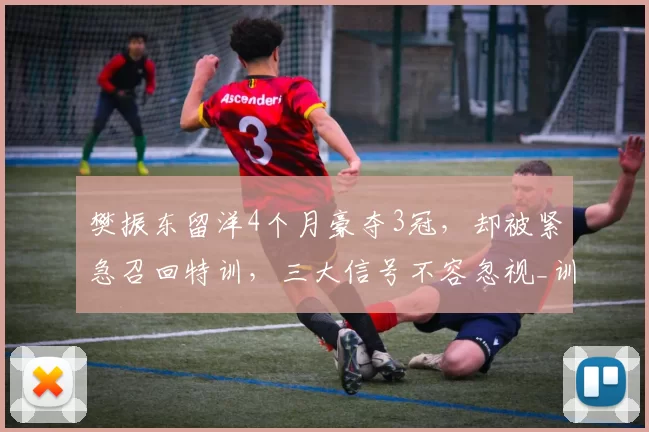 樊振东留洋4个月豪夺3冠,却被紧急召回特训,三大信号不容忽视_训练基地_比赛_上海体育局