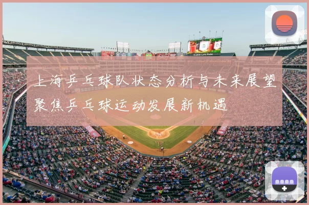 上海乒乓球队状态分析与未来展望聚焦乒乓球运动发展新机遇